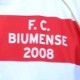 Biumense