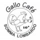 Gallo Cafè